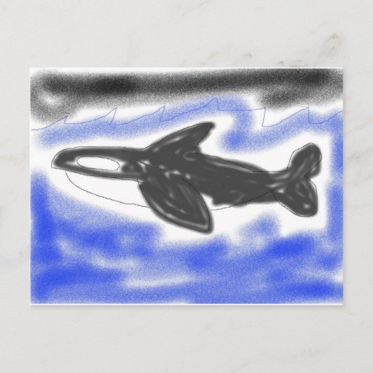 Killer Whale Postkarte (Vorderseite)