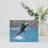 Killer Whale Postkarte (Stehend Vorderseite)