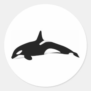 Killer Whale Runder Aufkleber