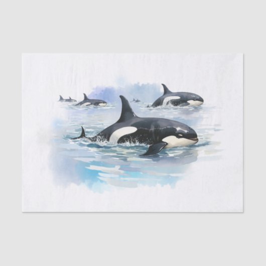 Killer Whale Seidenpapier (Vorderseite)