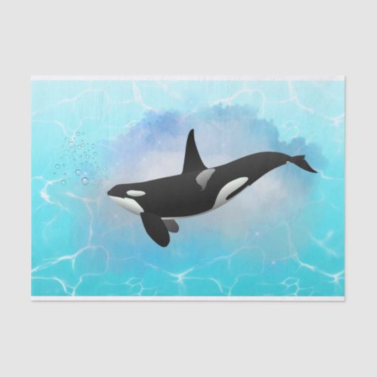 Killer Whale Seidenpapier (Vorderseite)
