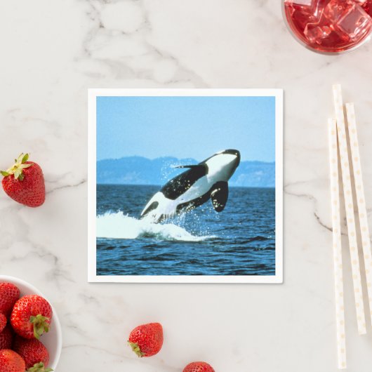 Killer Whale Serviette (Beispiel)