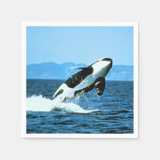 Killer Whale Serviette (Vorderseite)