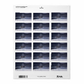 Killer Whales Adressaufkleber (Vorne)