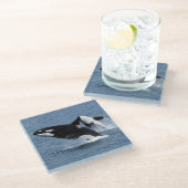 Killer whales glasuntersetzer (Schrägansicht)