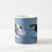 Killer whales kaffeetasse (Mittel)