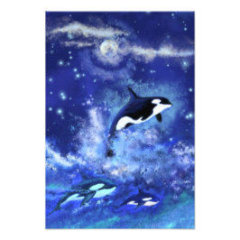 Killer Whales Poster Blue Vollmond