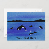 Killer Whales Postkarte (Vorne/Hinten)