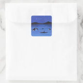 Killer Whales Quadratischer Aufkleber (Tasche)