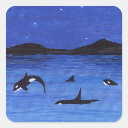 Killer Whales Quadratischer Aufkleber (Vorderseite)