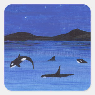 Killer Whales Quadratischer Aufkleber