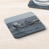 Killerwal Getränkeuntersetzer (Linke Seite)