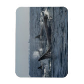 Killerwal Magnet (Vertikal)