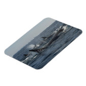 Killerwal Magnet (Linke Seite)