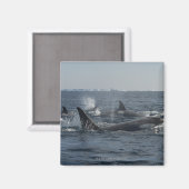 Killerwal Magnet (Vorderseite/Rückseite)