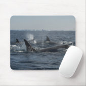 Killerwal Mousepad (Mit Mouse)