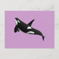 Killerwal, Orcinus Orca