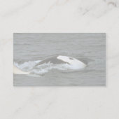 Killerwal Visitenkarte (Rückseite)