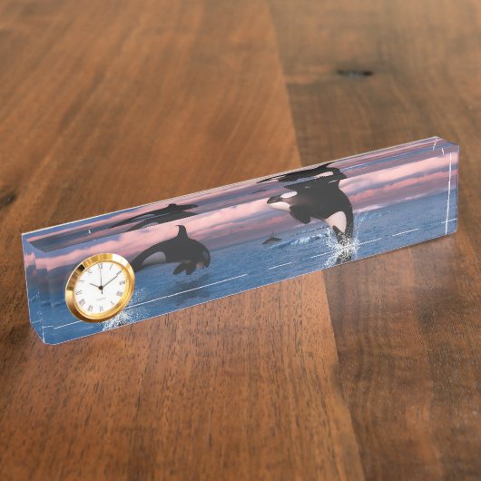 Killerwale in der Arktis Namensplakette (Seite)