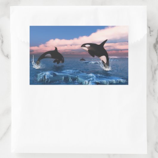 Killerwale in der Arktis Rechteckiger Aufkleber (Tasche)