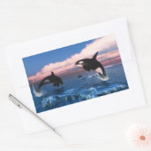 Killerwale in der Arktis Rechteckiger Aufkleber (Umschlag)