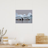 Killerwale (Orcas), Orcinus orca, Pod Poster (Küche)