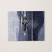 Killerwale Puzzle (Horizontal)