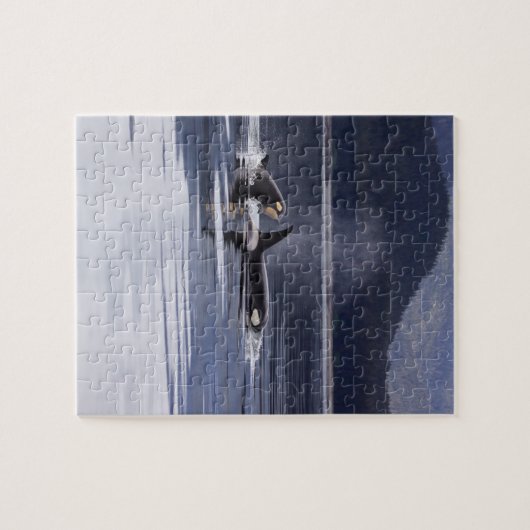 Killerwale Puzzle (Horizontal)