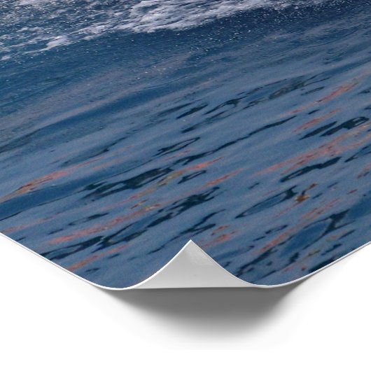 Killerwale springen aus dem Wasser Poster (Ecke)