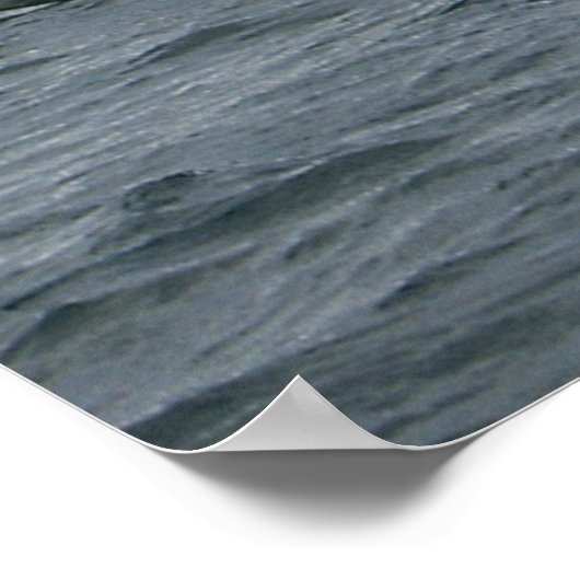 Killerwale springen poster (Ecke)