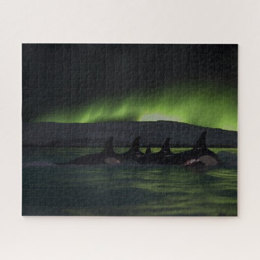 Killerwale Unter der Aurora - Orca Puzzle (Horizontal)