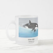 Killerwhale , Orcinus orca Mattglastasse (Links)