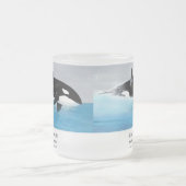Killerwhale , Orcinus orca Mattglastasse (Mittel)