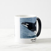 Killerwhale , Orcinus orca Verwandlungstasse (VorderseiteRechts)