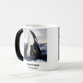 Killerwhale , Orcinus orca Verwandlungstasse (Vorderseite Links)