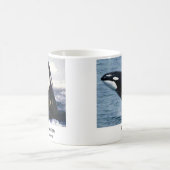 Killerwhale , Orcinus orca Verwandlungstasse (Mittel)