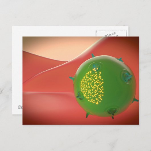 Killerzelle des inatalen Immunsystems Postkarte (Vorne/Hinten)