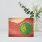 Killerzelle des inatalen Immunsystems Postkarte (Stehend Vorderseite)