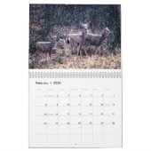 Killians Kalendar Kalender (Feb 2026)