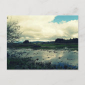 Killin Wetlands Reflection Postkarte (Vorderseite)