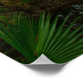 Kilpatrick Hammock, Kissimmee Prairie Preserve, FL Poster (Ecke)