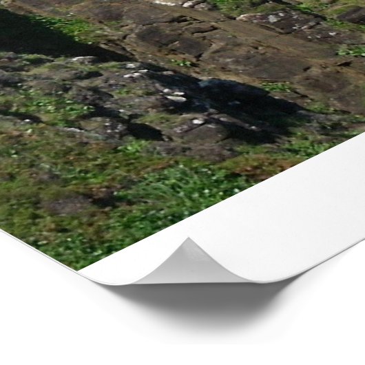 Kilt Rock Poster (Ecke)