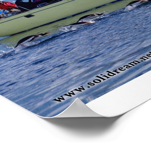 Kim en Antarctique Poster (Ecke)