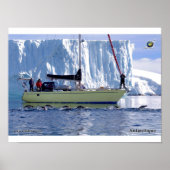 Kim en Antarctique Poster (Vorne)