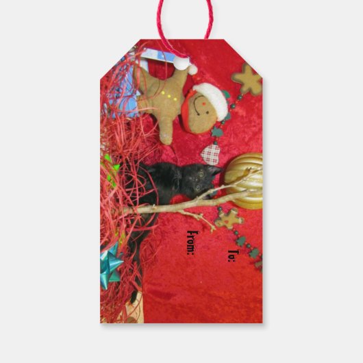 Kimbas Weihnachtsbaum - Kat /Kitten Geschenketiket Geschenkanhänger (Rückseite)