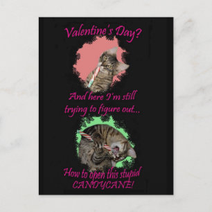 Kimber Candycane Valentinas Postkarte