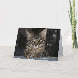 Kimber Cat Burn dich nicht selbst Geburtstagskarte Karte