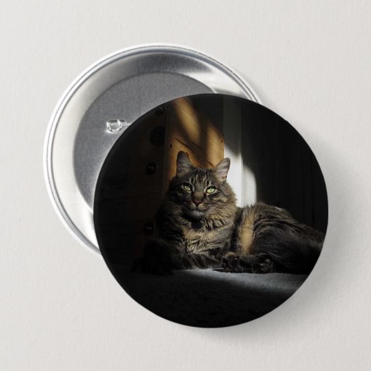 Kimber Cat Slivers of Sunlight Button (Vorne & Hinten)