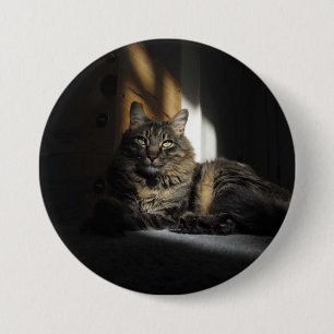 Kimber Cat Slivers of Sunlight Button