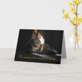 Kimber Cat Slivers of Sunlight I Liebe You Card Karte (Gelbe Blume)